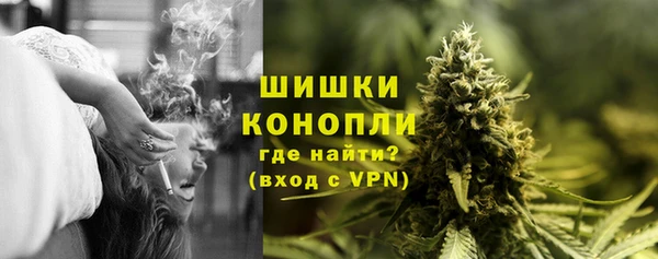кокс Богородицк