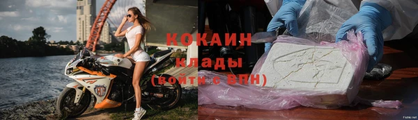 кокс Богородицк