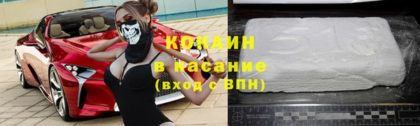 гидра Богородск