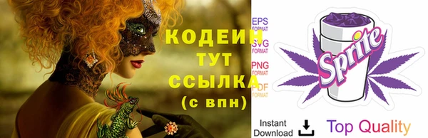 кокс Богородицк