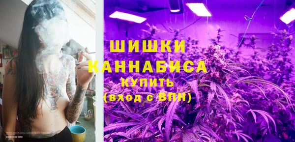 гидра Богородск