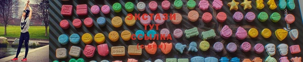 гидра Богородск
