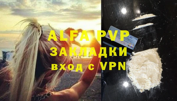 метадон Богданович