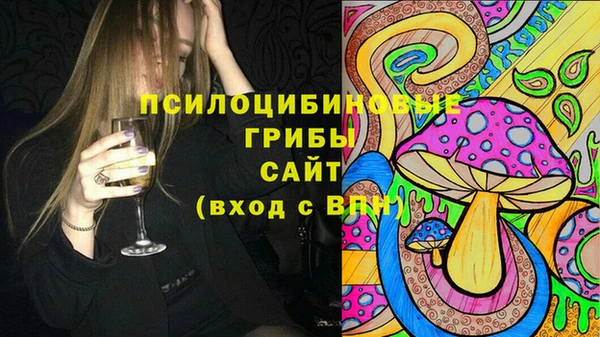 кокс Богородицк