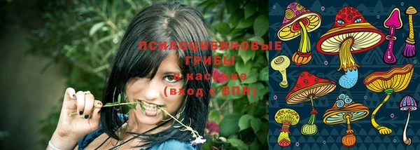 метадон Богданович