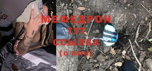 гидра Богородск