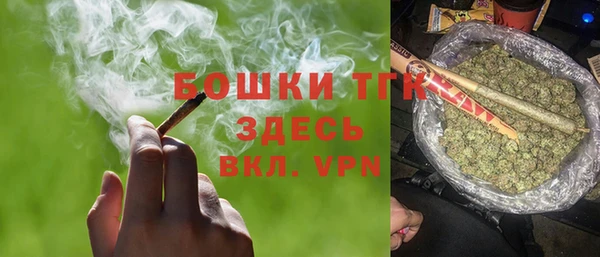 гидра Богородск
