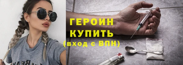 гидра Богородск