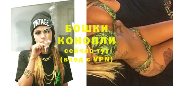 кокс Богородицк
